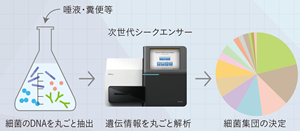 お口の中全体の口腔内細菌叢解析（メタゲノム解析）の検査